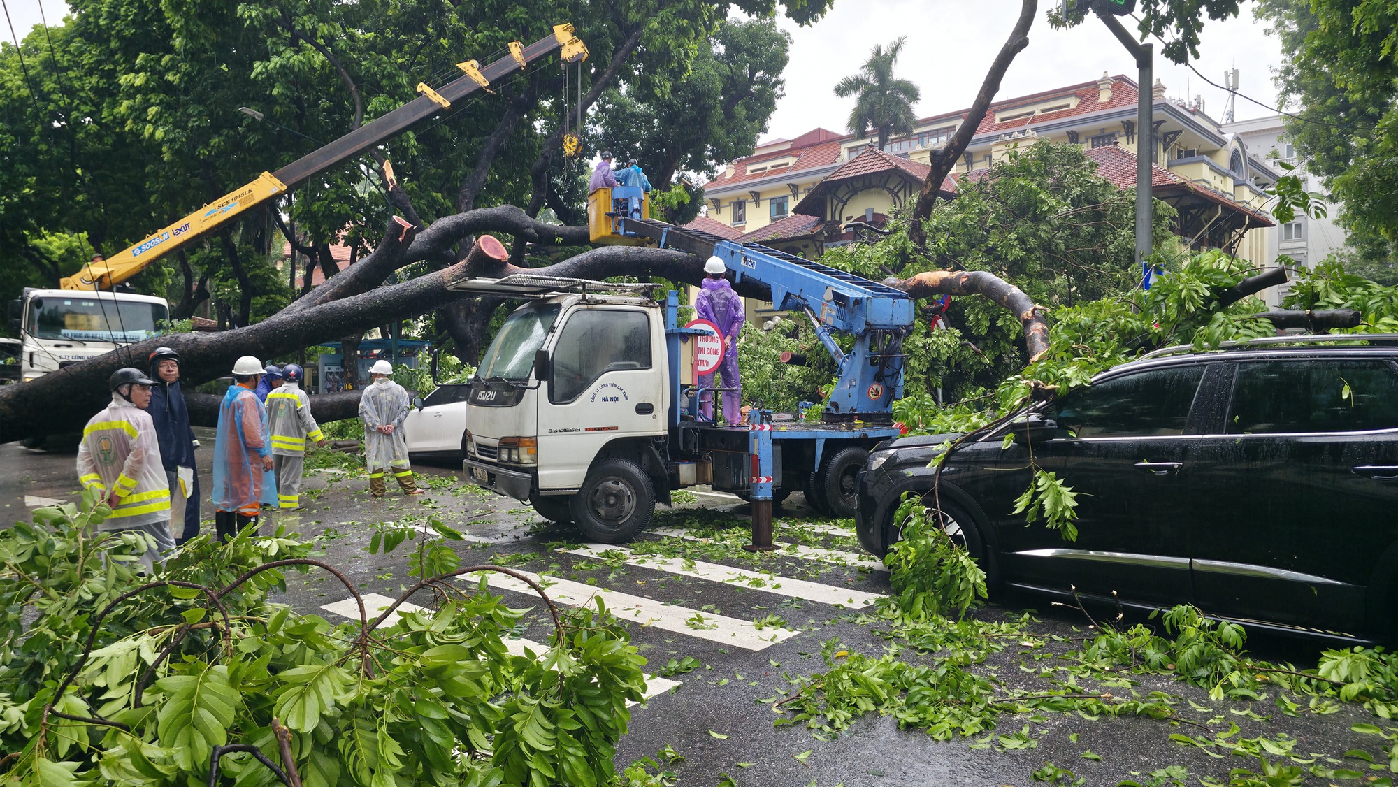 Chủ xe kể 30 gi&acirc;y kinh ho&agrave;ng khi c&acirc;y lớn bật gốc đ&egrave; tr&uacute;ng &ocirc; t&ocirc; giữa phố tại H&agrave; Nội- Ảnh 5.