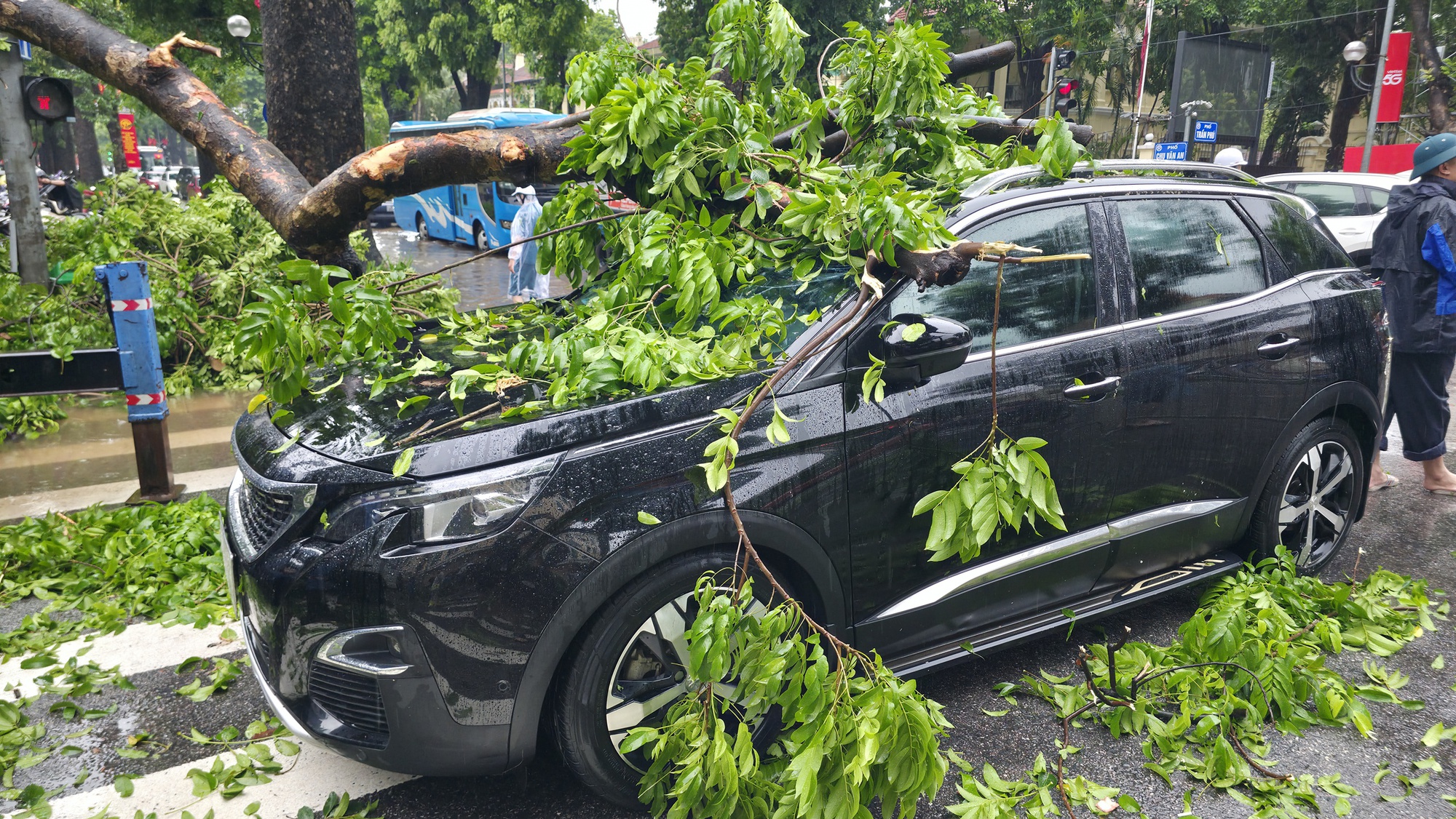Chủ xe kể 30 gi&acirc;y kinh ho&agrave;ng khi c&acirc;y lớn bật gốc đ&egrave; tr&uacute;ng &ocirc; t&ocirc; giữa phố tại H&agrave; Nội- Ảnh 3.