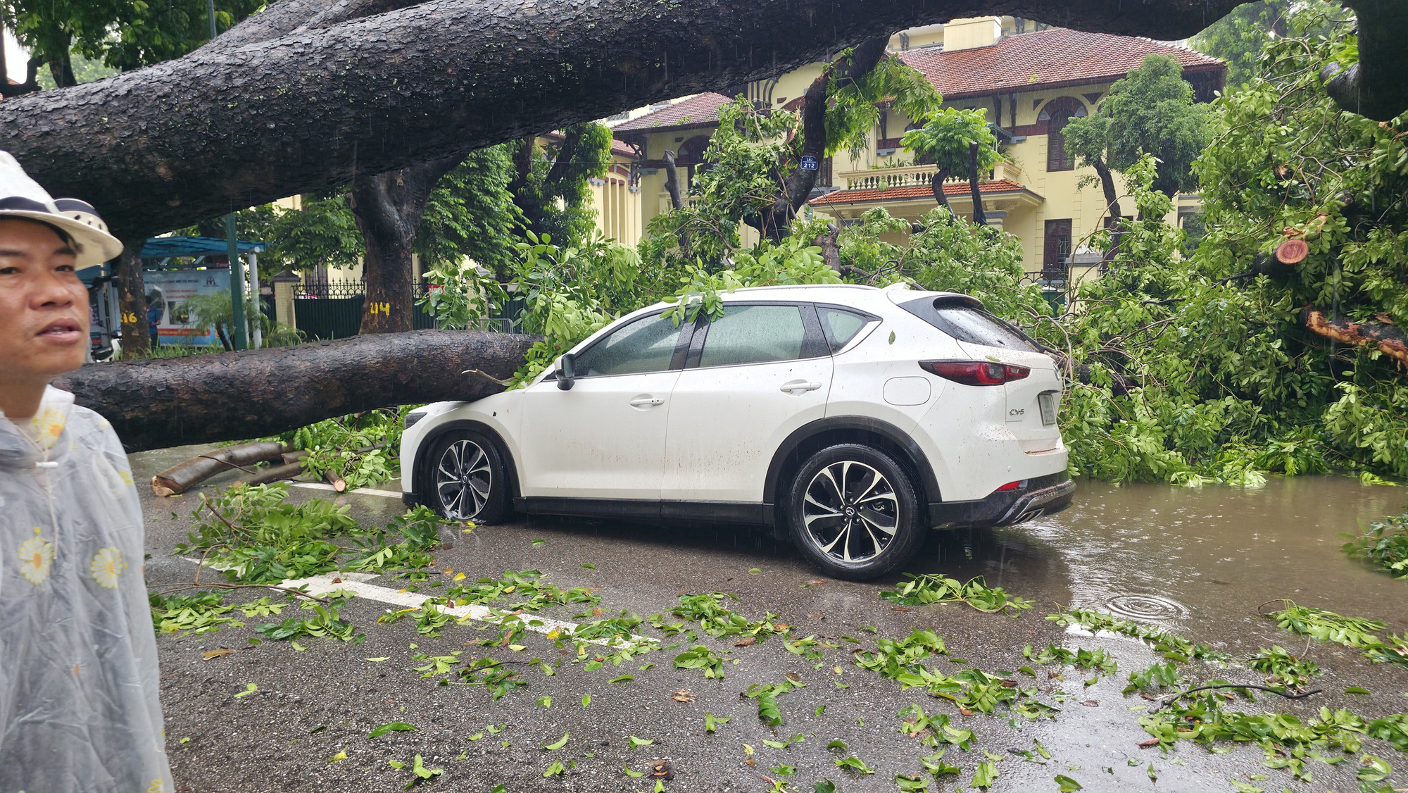 Chủ xe kể 30 gi&acirc;y kinh ho&agrave;ng khi c&acirc;y lớn bật gốc đ&egrave; tr&uacute;ng &ocirc; t&ocirc; giữa phố tại H&agrave; Nội- Ảnh 6.