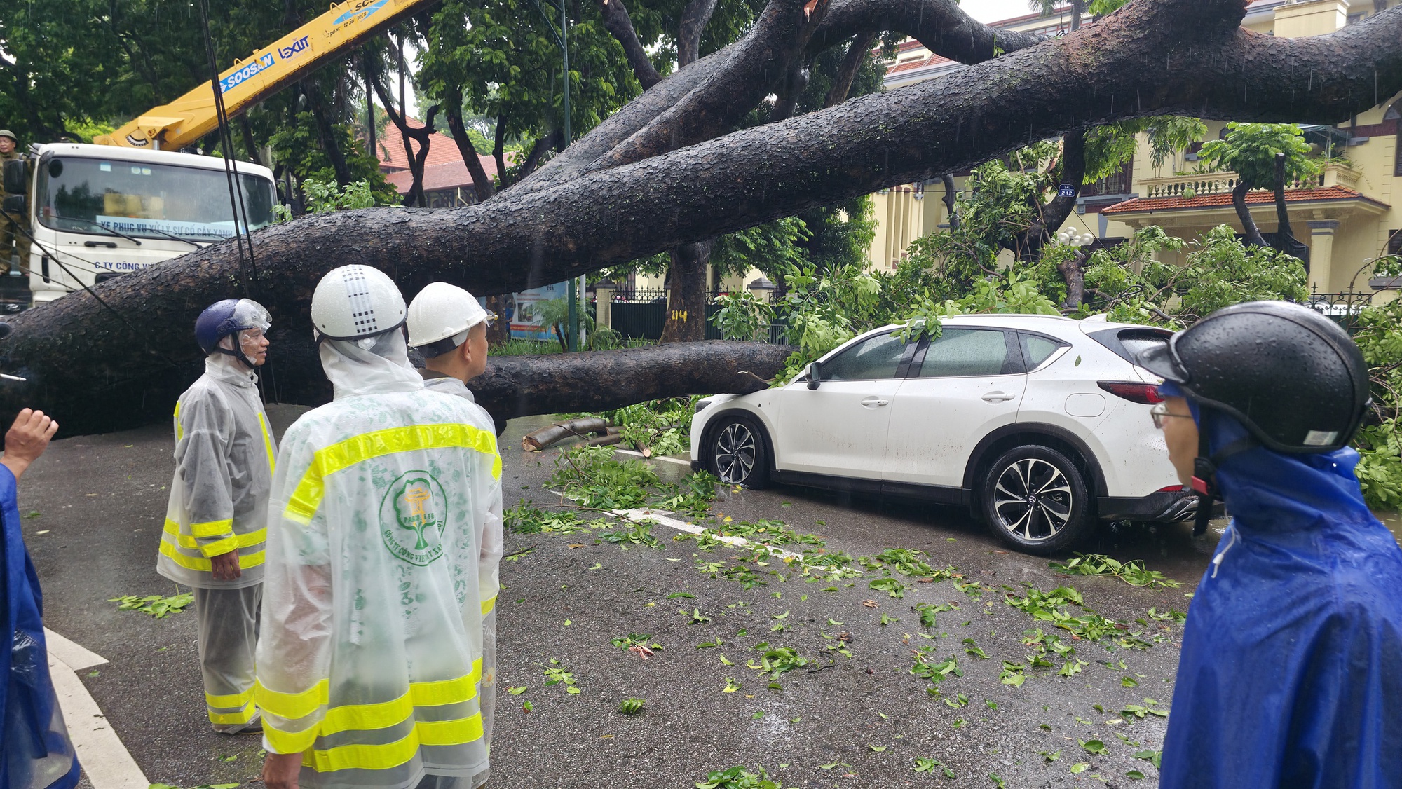 Chủ xe kể 30 gi&acirc;y kinh ho&agrave;ng khi c&acirc;y lớn bật gốc đ&egrave; tr&uacute;ng &ocirc; t&ocirc; giữa phố tại H&agrave; Nội- Ảnh 7.