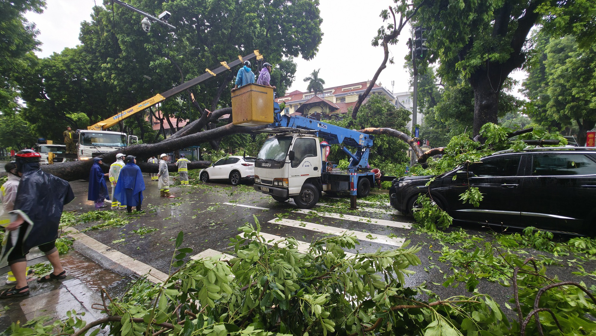 Chủ xe kể 30 gi&acirc;y kinh ho&agrave;ng khi c&acirc;y lớn bật gốc đ&egrave; tr&uacute;ng &ocirc; t&ocirc; giữa phố tại H&agrave; Nội- Ảnh 1.