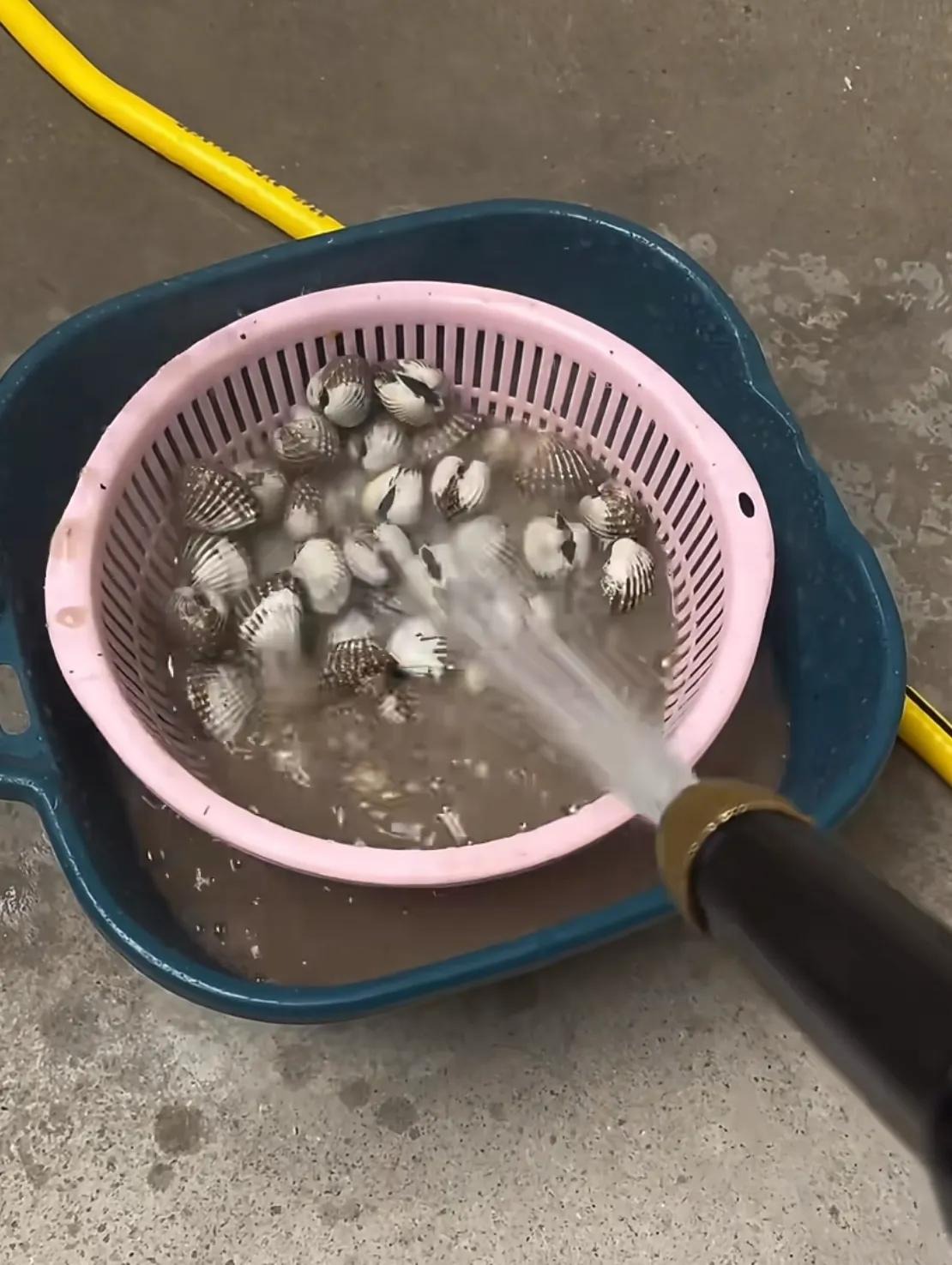 4 món đồ dùng xịn đỉnh nóc, bảo sao thiên hạ muốn mua bằng được- Ảnh 4.