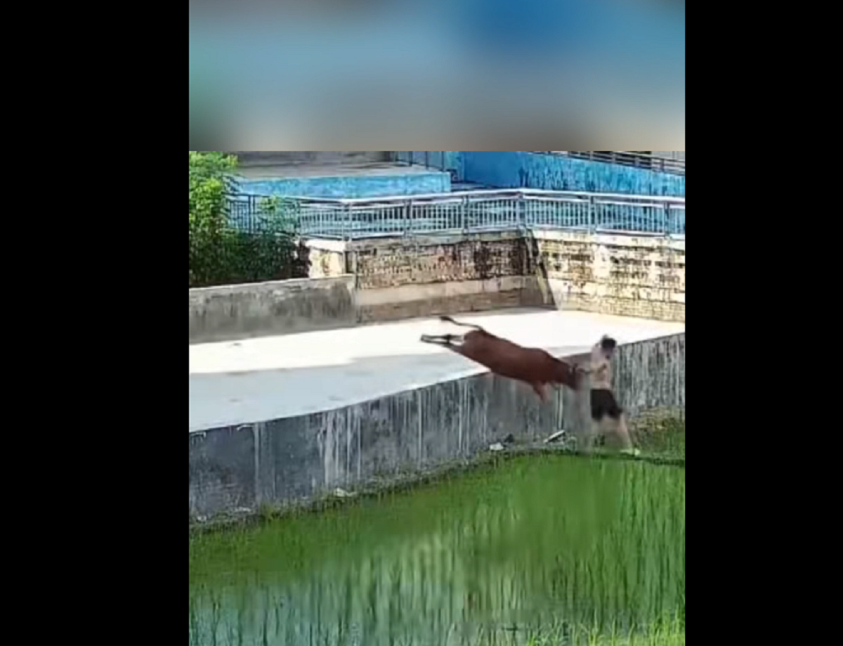 Đang đi dạo, bỗng phát hiện cảnh tượng nổi da gà chàng trai chạy như "tên bắn"- Ảnh 2.