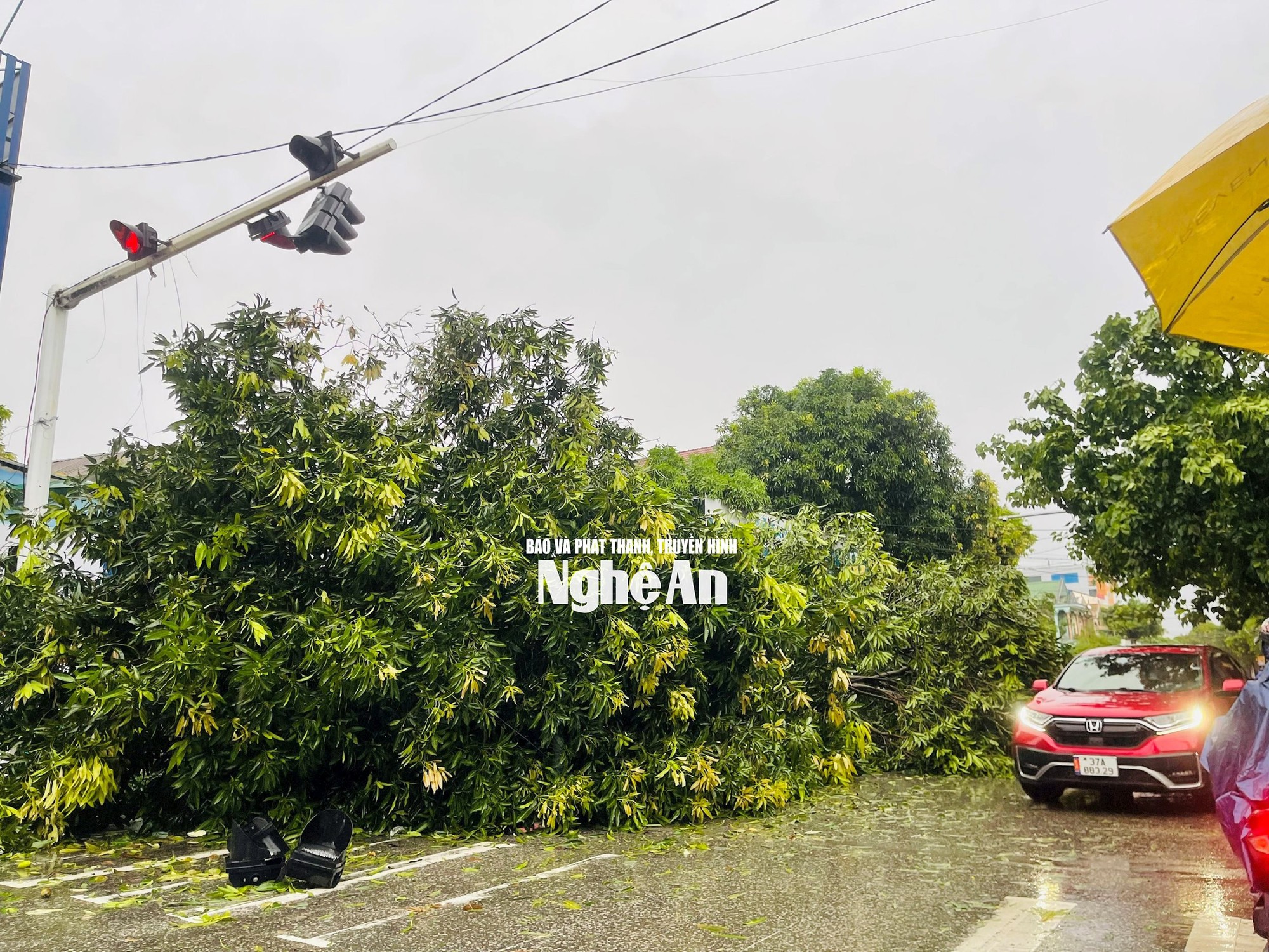 Hình ảnh tan hoang bên trong Bệnh viện Sản Nhi Nghệ An sau khi bão số 5 đi qua, thương quá miền Trung ơi!- Ảnh 14.