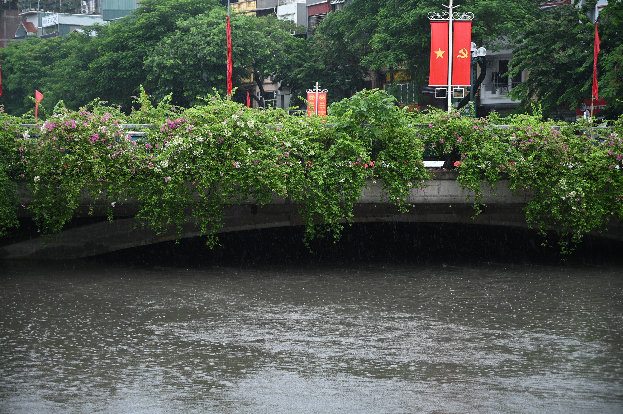 Cảnh tượng lạ trên sông Tô Lịch sau trận mưa như trút ở Hà Nội, nhiều người kinh ngạc thốt lên: "Đây là lần đầu tiên tôi thấy"- Ảnh 6.