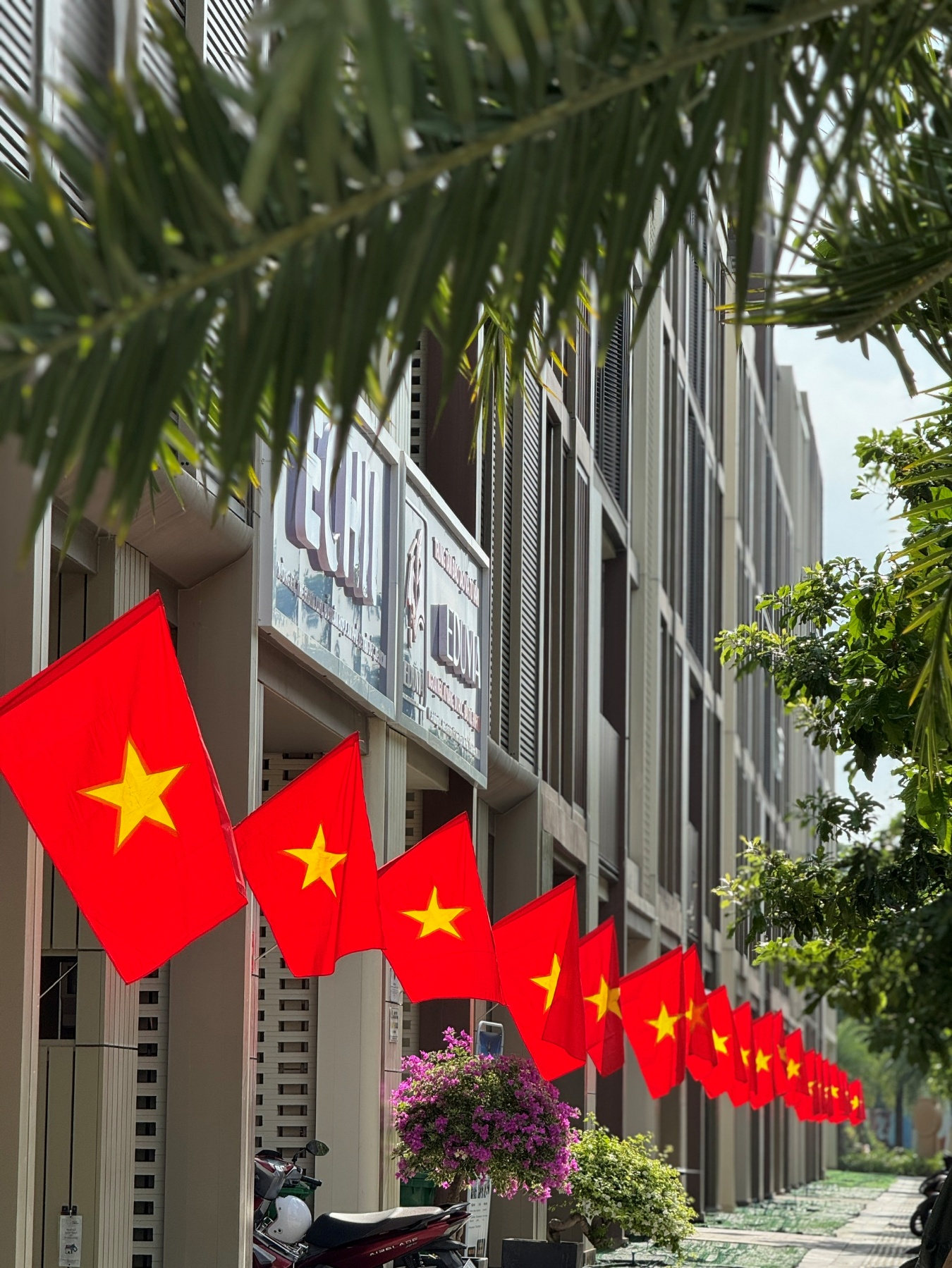 Cư dân Masterise Homes nhận quà "yêu nước", tự hào chung tay "phủ đỏ" Việt Nam- Ảnh 5.