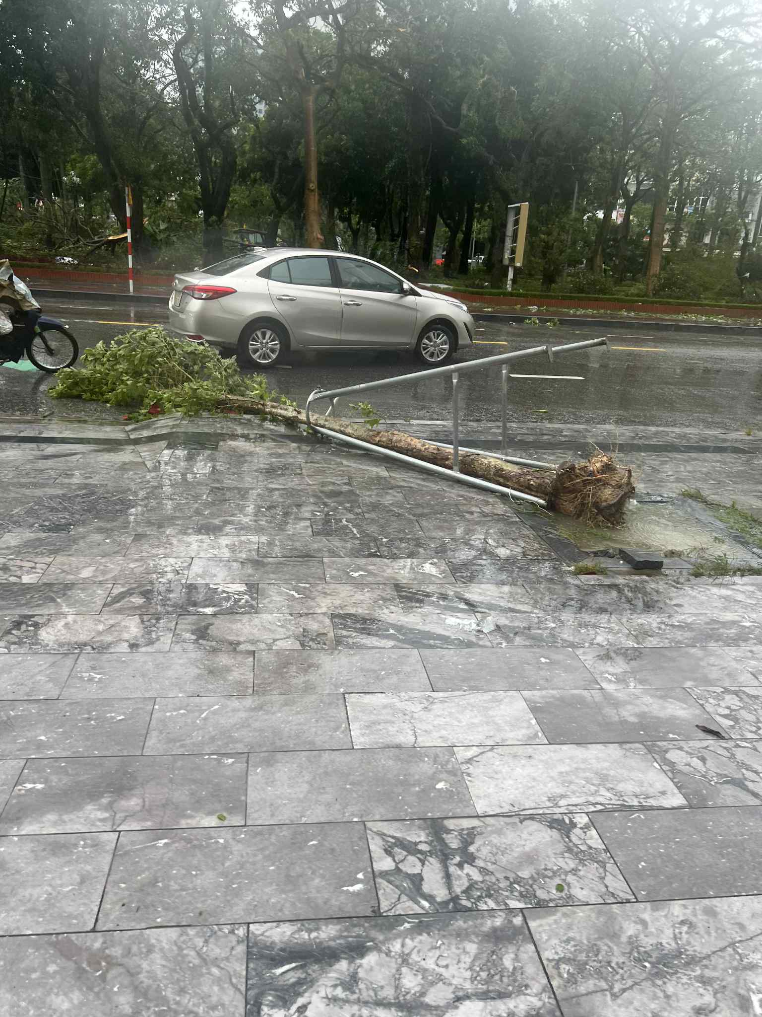 Nhà tốc mái, đường ngập cây đổ: Nghệ An ngổn ngang sau bão số 5- Ảnh 5.