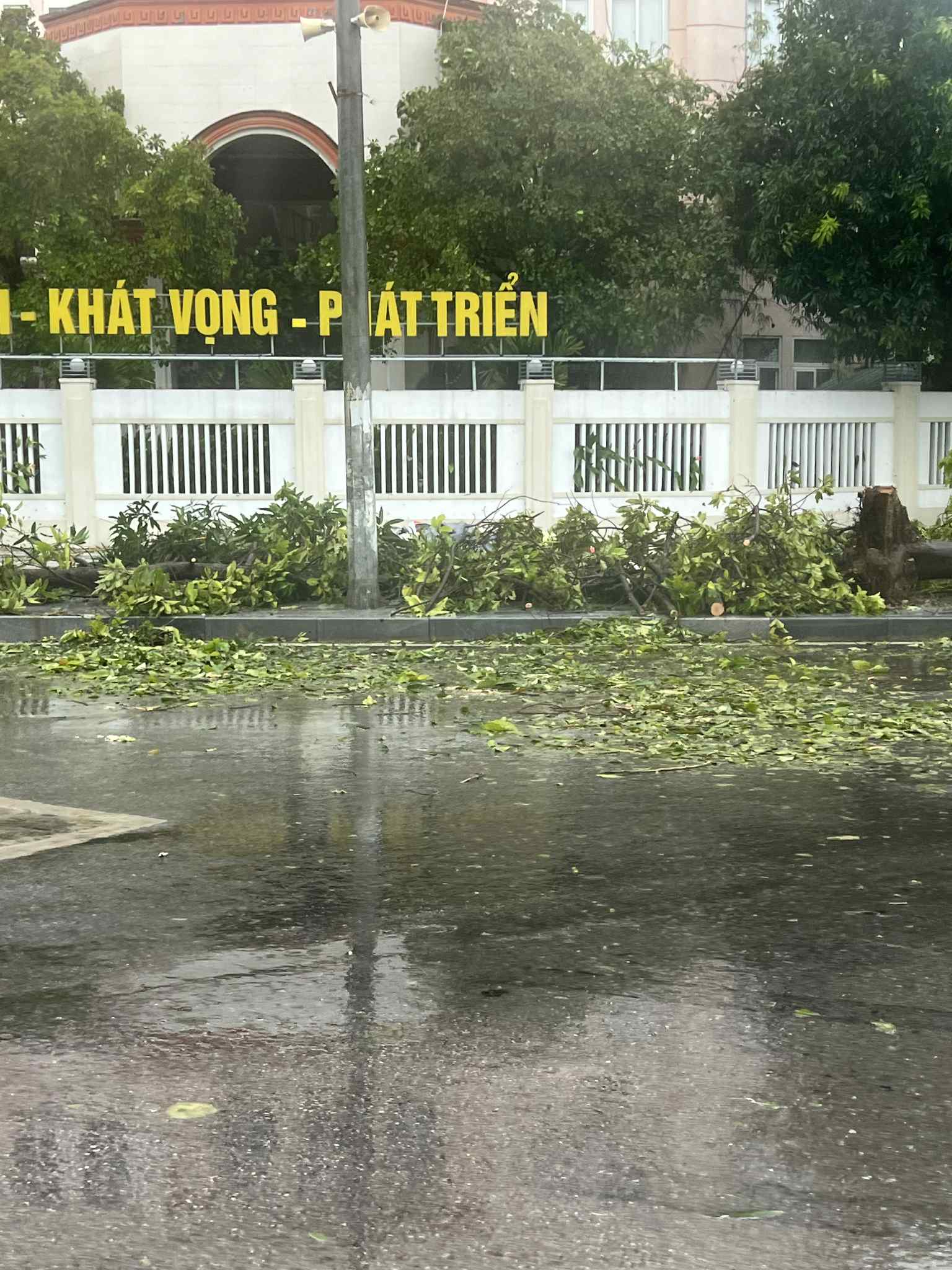 Nhà tốc mái, đường ngập cây đổ: Nghệ An ngổn ngang sau bão số 5- Ảnh 3.
