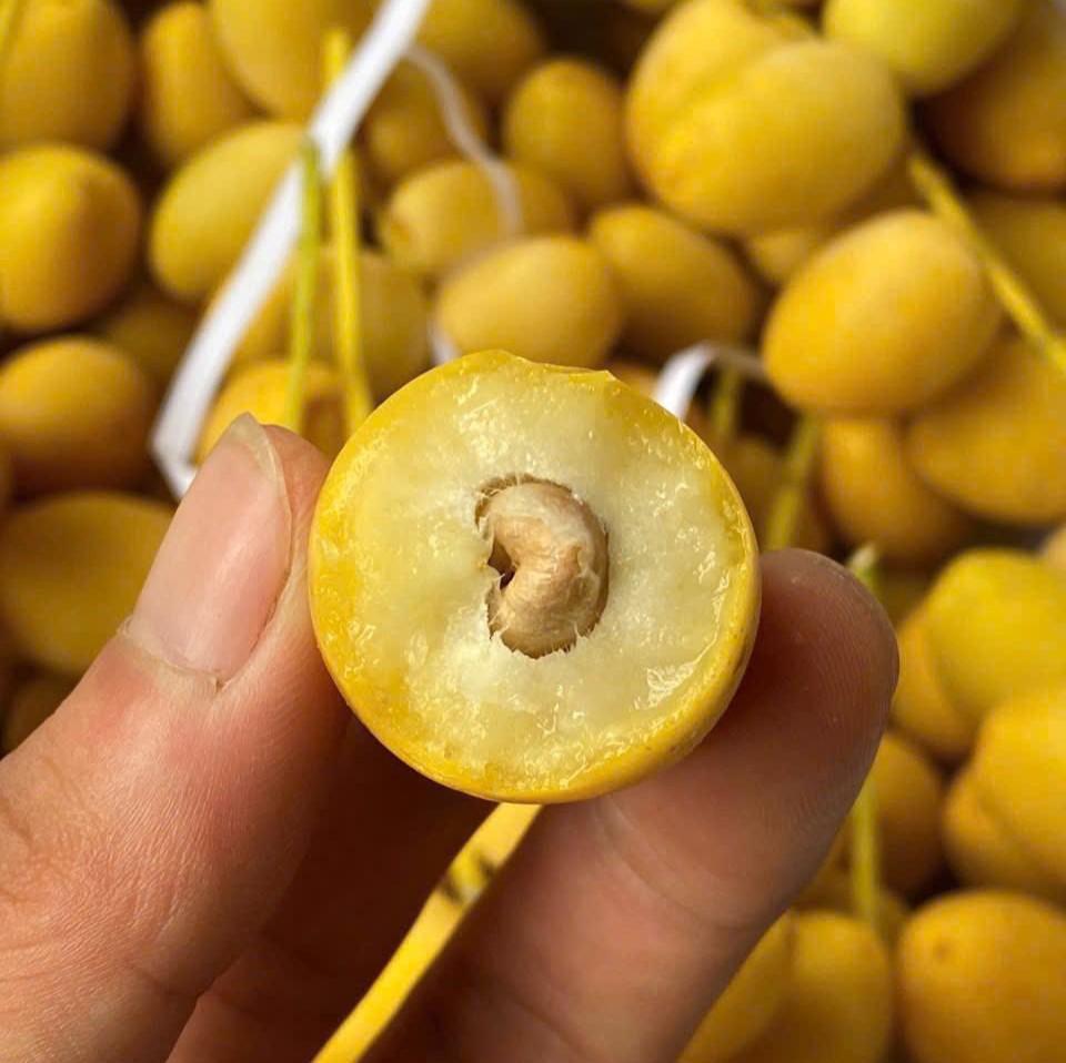 Loại quả kỳ lạ "cắn dọc thì ngọt, cắn ngang thì chát": Hóa ra là "khắc tinh" của ung thư và tiểu đường- Ảnh 1. Loại quả kỳ lạ "cắn dọc thì ngọt, cắn ngang thì chát": Hóa ra là "khắc tinh" của ung thư và tiểu đường- Ảnh 1.
