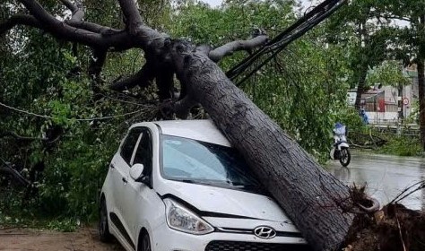 Thấy gió trong bão số 5 quá mạnh, không dám ra đánh xe ô tô rời đi để tránh cây gãy đổ- Ảnh 5.