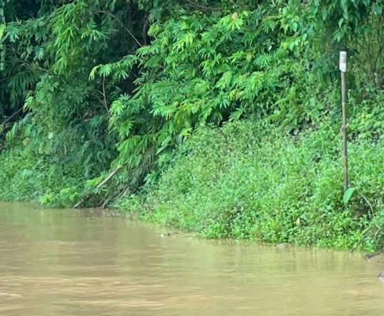 Phát hiện 2 thi thể chưa rõ danh tính trong bão số 5- Ảnh 1.