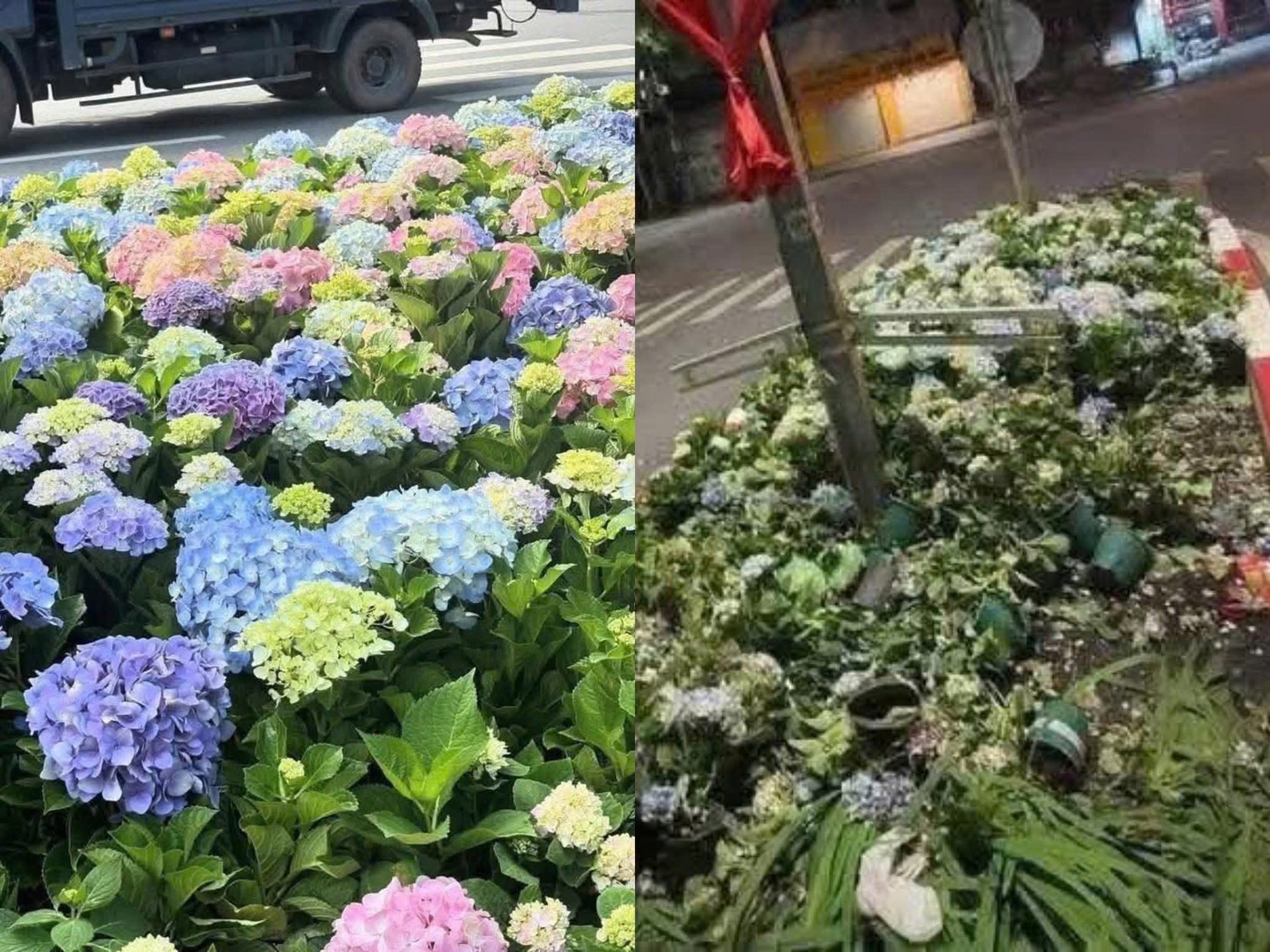 Dẫm đạp lên thảm cỏ, xả rác ra đường: Bị phạt đến 2 triệu đồng, buộc khôi phục lại tình trạng ban đầu- Ảnh 1.