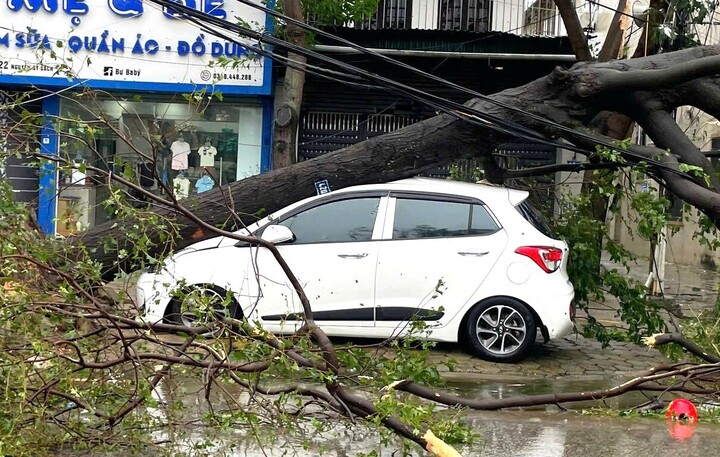 Bão số 5 càn quét, Nghệ An thiệt hại gần 850 tỷ đồng- Ảnh 2.