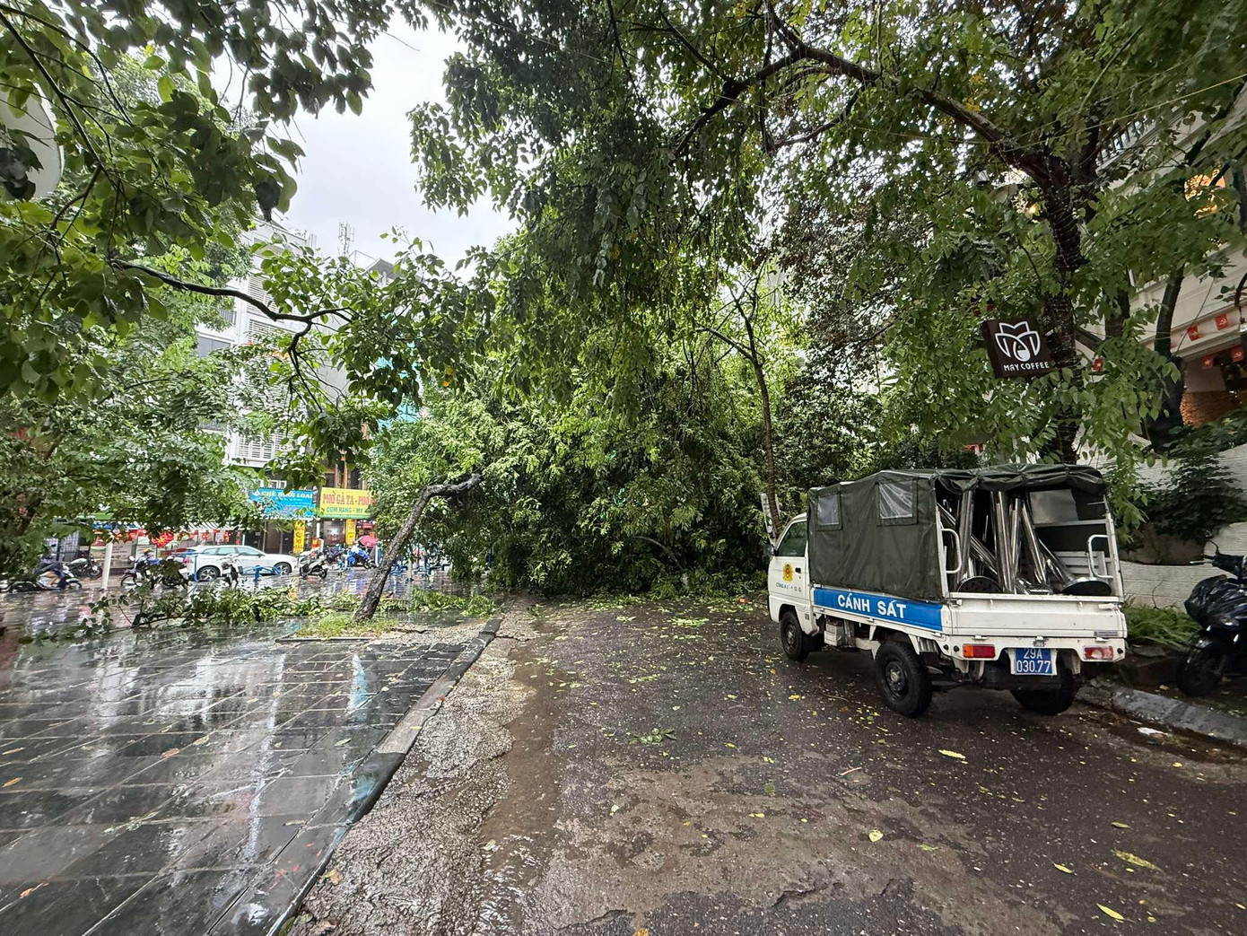 Hà Nội: Cây xà cừ cổ thụ đổ đè bẹp 2 ô tô trên phố Trung Kính- Ảnh 3.