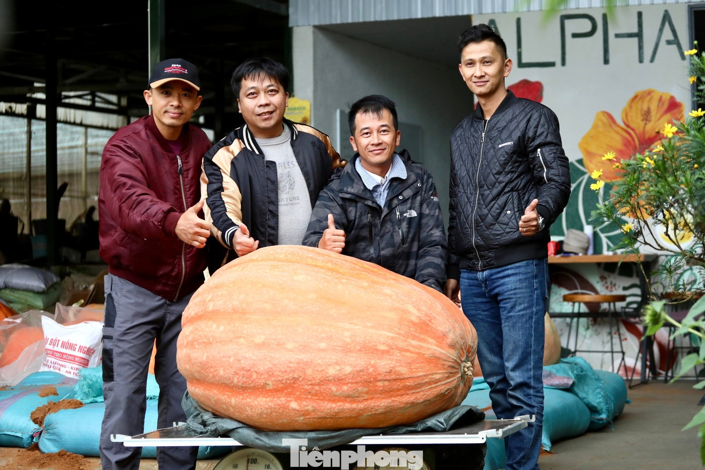 Nhiều người kéo nhau đi xem quả bí ngô siêu to khổng lồ ở Đà Lạt- Ảnh 20.