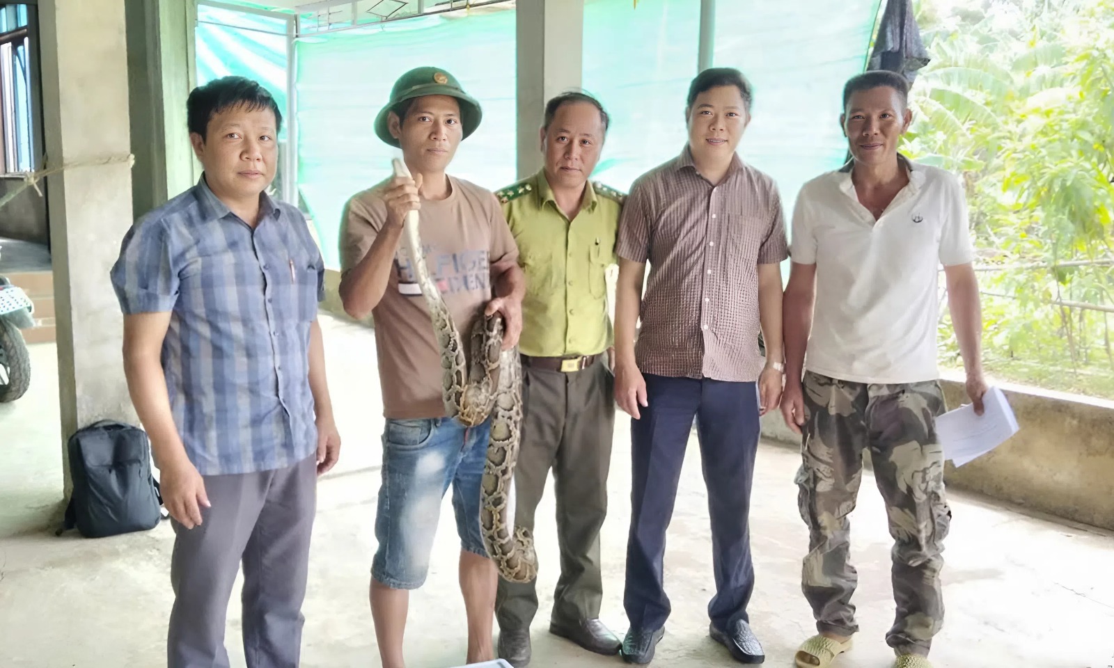Trăn quý bò vào vườn nhà dân, cả làng hiếu kỳ rủ nhau đến xem- Ảnh 1. Trăn quý bò vào vườn nhà dân, cả làng hiếu kỳ rủ nhau đến xem- Ảnh 1.
