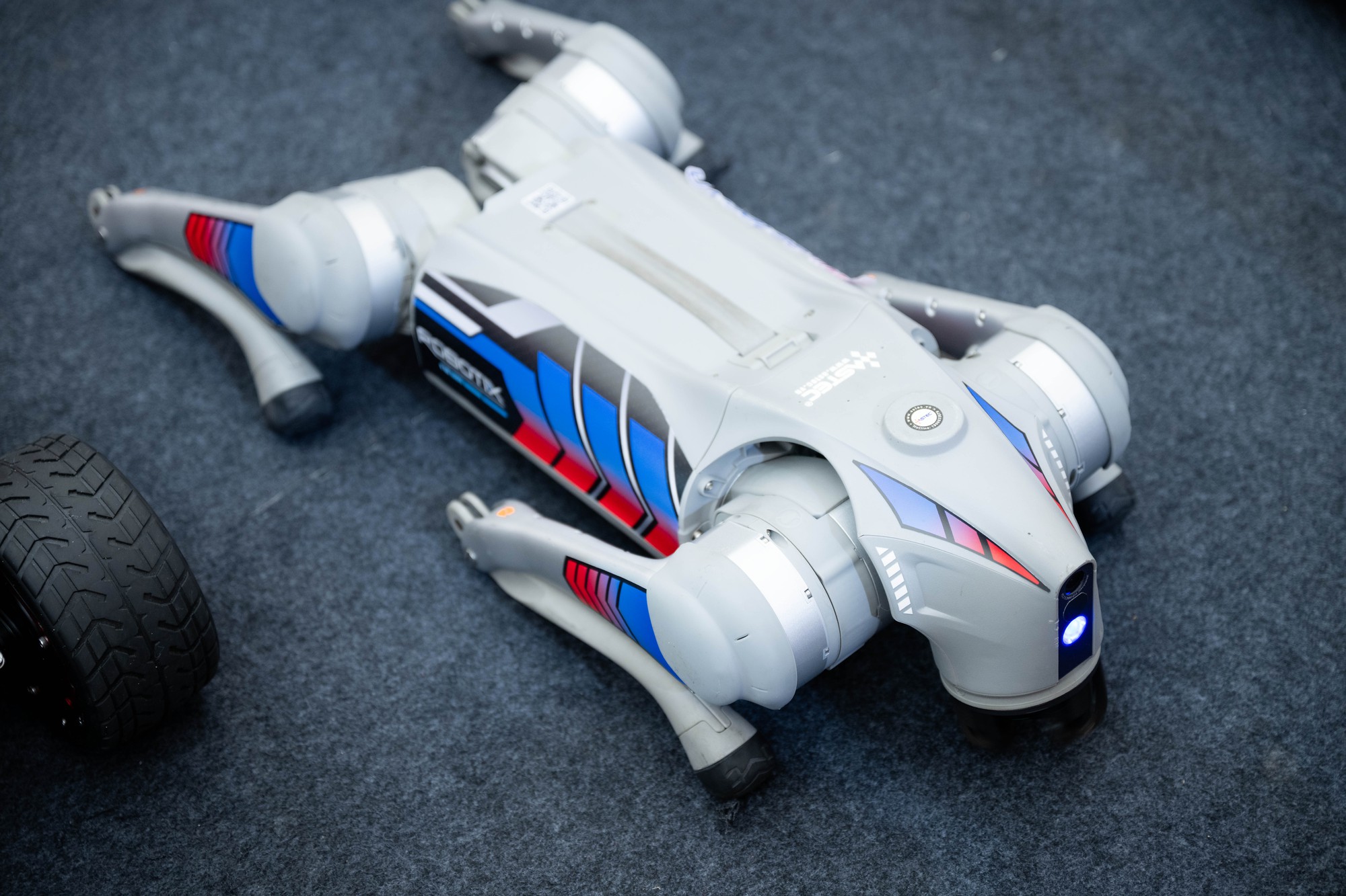 Người dân Hà Nội háo hức ngắm nhìn, "bắt tay" chó robot: Công nghệ tương lai xuất hiện ngay giữa Thủ đô- Ảnh 6. Người dân Hà Nội háo hức ngắm nhìn, "bắt tay" chó robot: Công nghệ tương lai xuất hiện ngay giữa Thủ đô- Ảnh 6.
