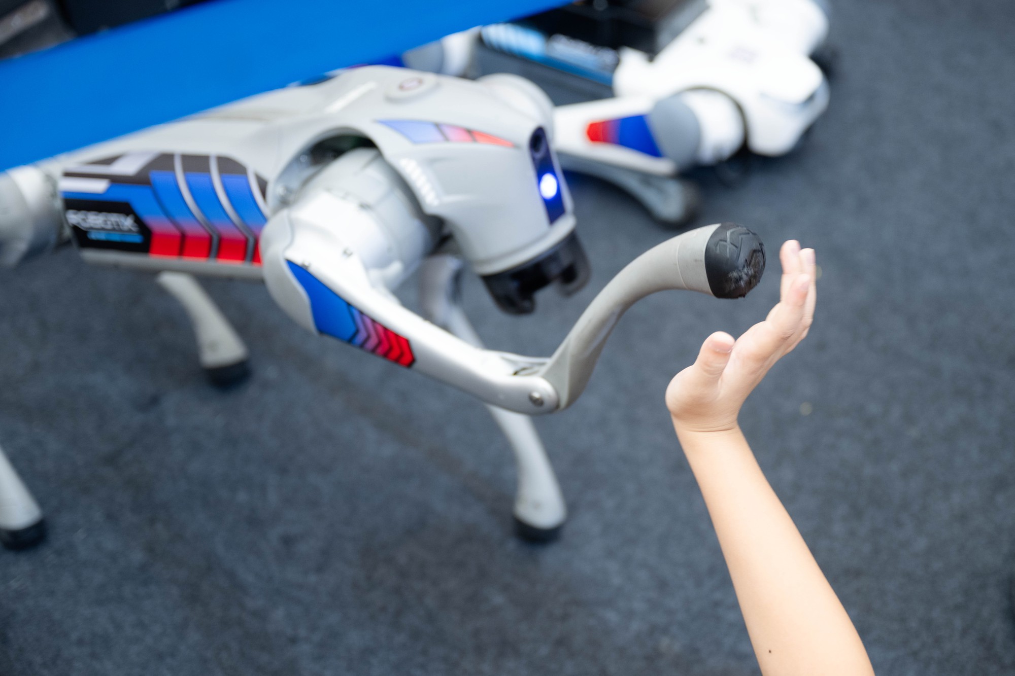 Người dân Hà Nội háo hức ngắm nhìn, "bắt tay" chó robot: Công nghệ tương lai xuất hiện ngay giữa Thủ đô- Ảnh 9. Người dân Hà Nội háo hức ngắm nhìn, "bắt tay" chó robot: Công nghệ tương lai xuất hiện ngay giữa Thủ đô- Ảnh 9.