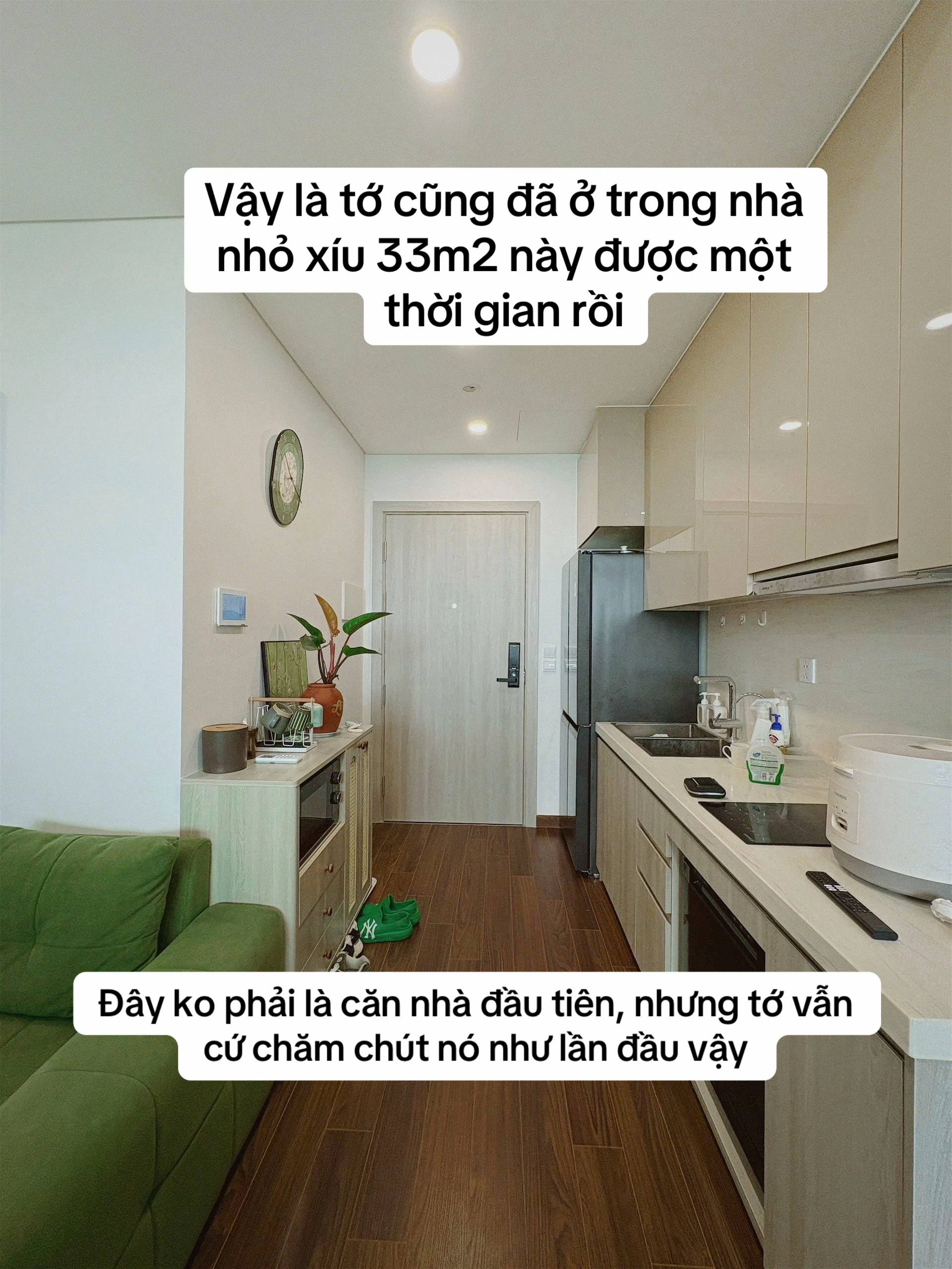 Studio 33m² gọn gàng sau khi chi 70 triệu cải tạo - 