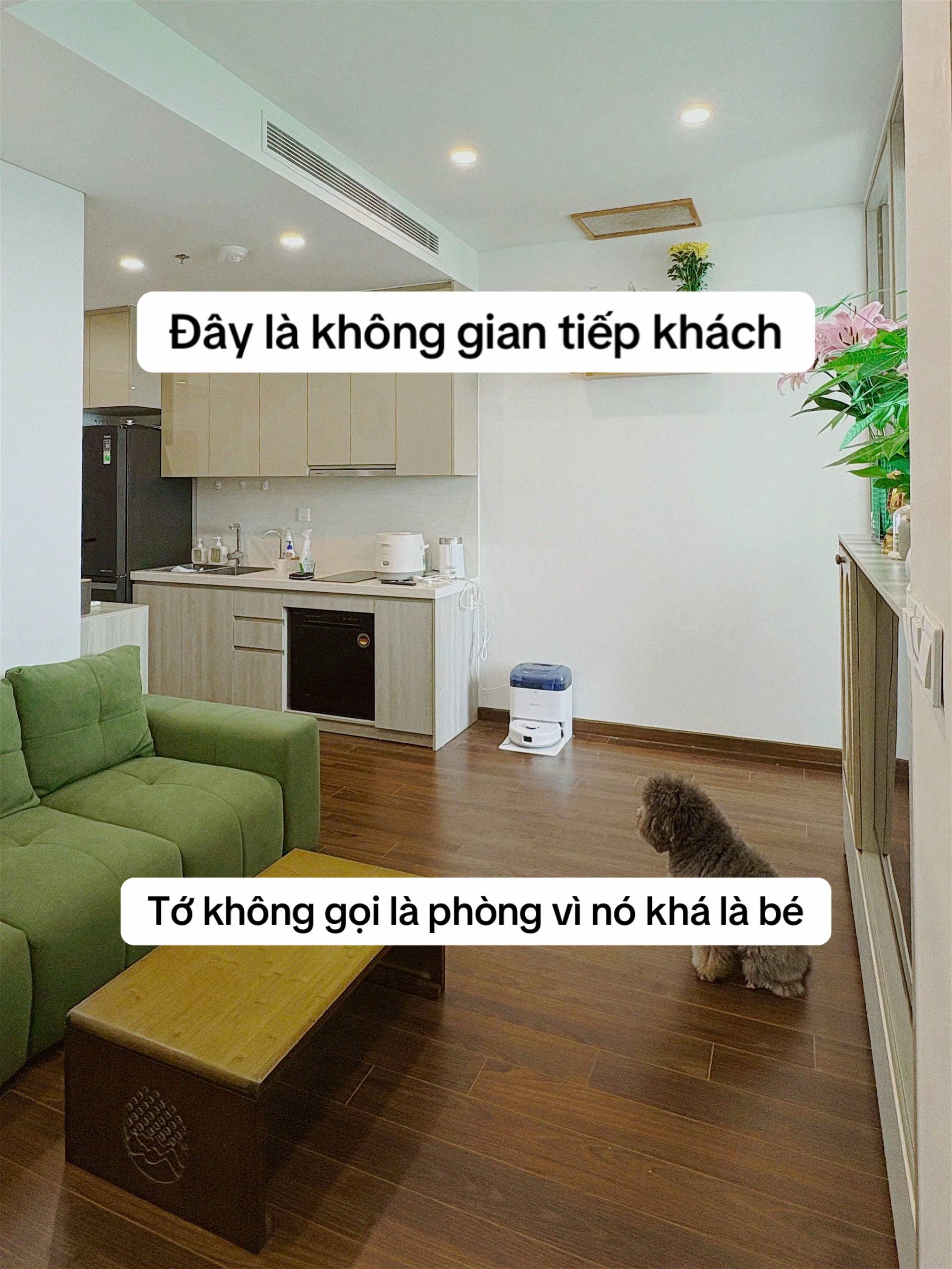 Studio 33m² gọn gàng sau khi chi 70 triệu cải tạo - 