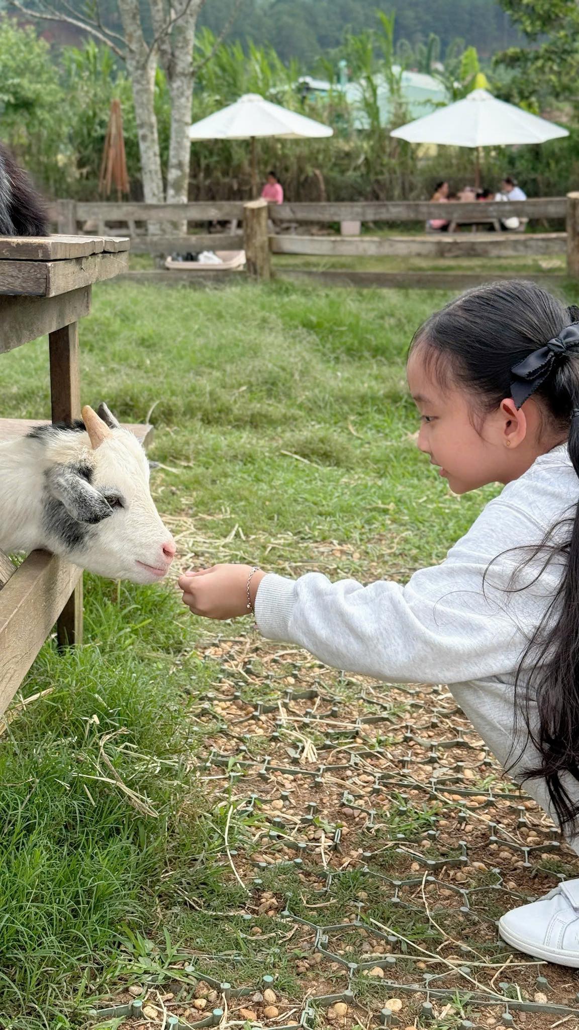 Một câu nói của con gái Khánh Thi tiết lộ góc khuất 