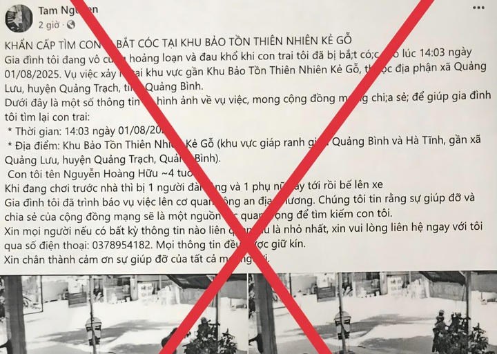 Bịa đặt chuyện bắt cóc trẻ em để trục lợi từ thiện ở Hà Tĩnh- Ảnh 1.