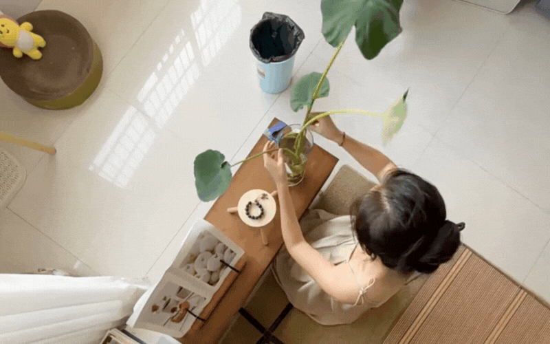 Tại sao bạn mãi không gặp may? Có thể do phong thủy ngôi nhà đang "tụ âm khí"- Ảnh 1.