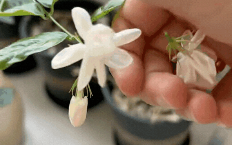 Tại sao bạn mãi không gặp may? Có thể do phong thủy ngôi nhà đang "tụ âm khí"- Ảnh 2.