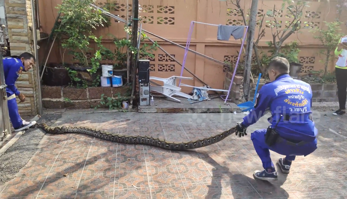 Nhìn ra sân, người dân thấy cảnh tượng nổi da gà- Ảnh 1.