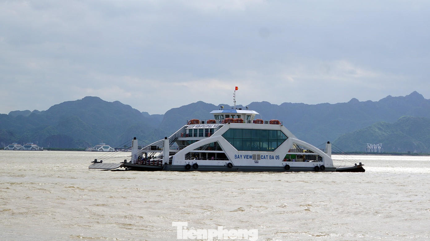 Cảnh lạ ở bến phà ra Cát Bà du lịch dịp 2/9- Ảnh 5.
