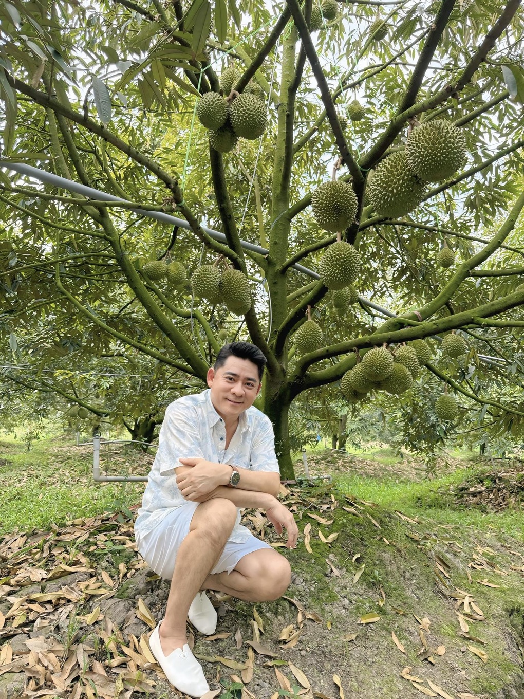 Tài tử Việt khiến khán giả say đắm một thời: Đột quỵ ở tuổi 57, đời tư cực bí ẩn- Ảnh 9. Tài tử Việt khiến khán giả say đắm một thời: Đột quỵ ở tuổi 57, đời tư cực bí ẩn- Ảnh 9.