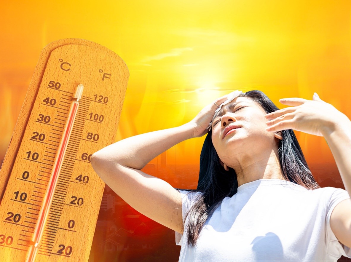 3 loại rau giải nhiệt mùa hè nên có trên mâm cơm mọi nhà trong những ngày nắng nóng cực gắt: Vừa giải nhiệt, bổ máu lại thanh lọc cơ thể- Ảnh 1.