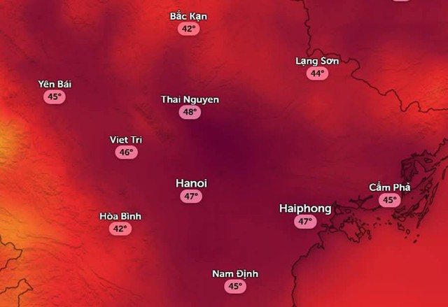 Nắng nóng chạm ngưỡng 40°C: Áp dụng những cách làm mát không tốn điện, nhiệt độ nhà giảm ngay 2-5 độ- Ảnh 1.