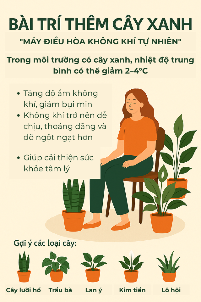 Nắng nóng chạm ngưỡng 40°C: Áp dụng những cách làm mát không tốn điện, nhiệt độ nhà giảm ngay 2-5 độ- Ảnh 6.