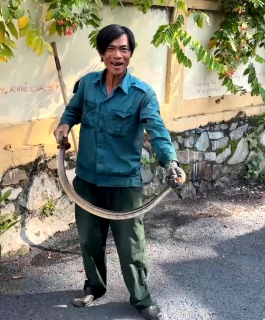 [CLIP] Hoảng hồn khi rắn ‘khổng lồ’ dài cả mét xuất hiện trong nhà dân ở TPHCM- Ảnh 3.