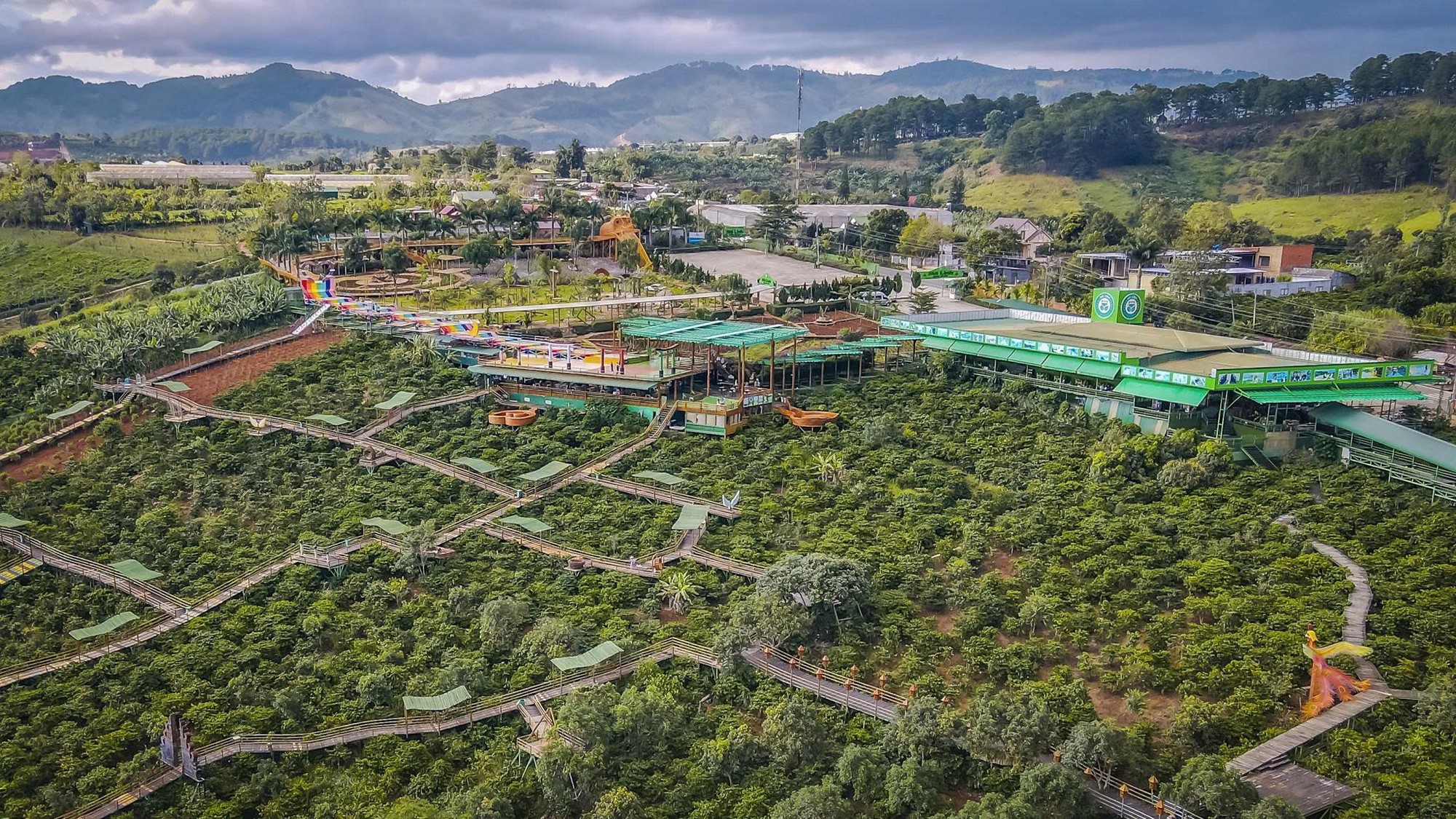 Du khách bất bình với giá cà phê 100.000 đồng ở Đà Lạt, lãnh đạo phường lên tiếng- Ảnh 2.