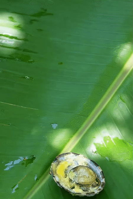 Điểm đến duy nhất ở Việt Nam có thể săn ảnh máy bay hạ cánh sát mặt biển, lại được thưởng thức món hải sản 'độc nhất vô nhị' của đại dương- Ảnh 11.