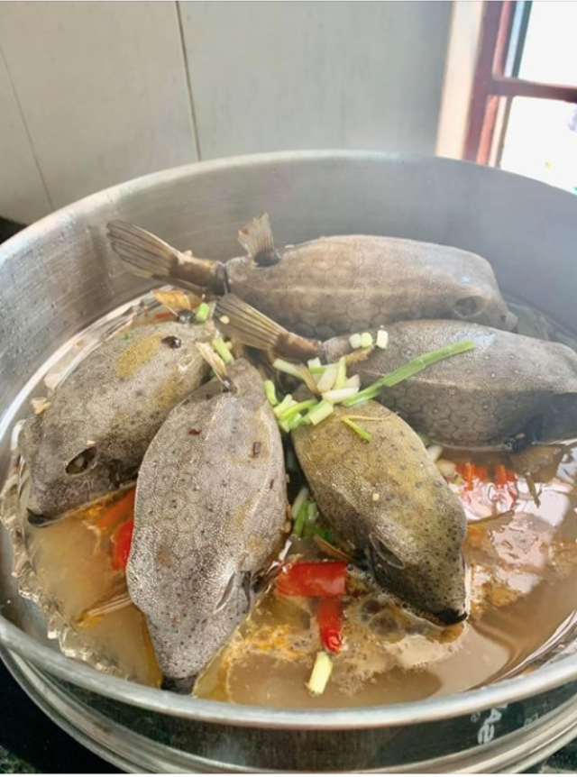 Việt Nam có loài cá nhìn như thuỷ quái, thịt ngon hơn cả gà, giá đến tiền triệu vẫn cháy hàng- Ảnh 1.