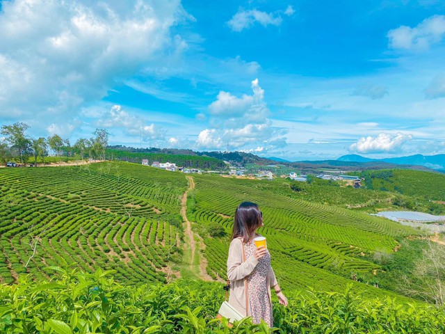 1 điểm đến duy nhất của Việt Nam được báo quốc tế ví "đẹp như châu Âu": Khá gần TP.HCM, là điểm tránh nóng mê quên lối về- Ảnh 6.