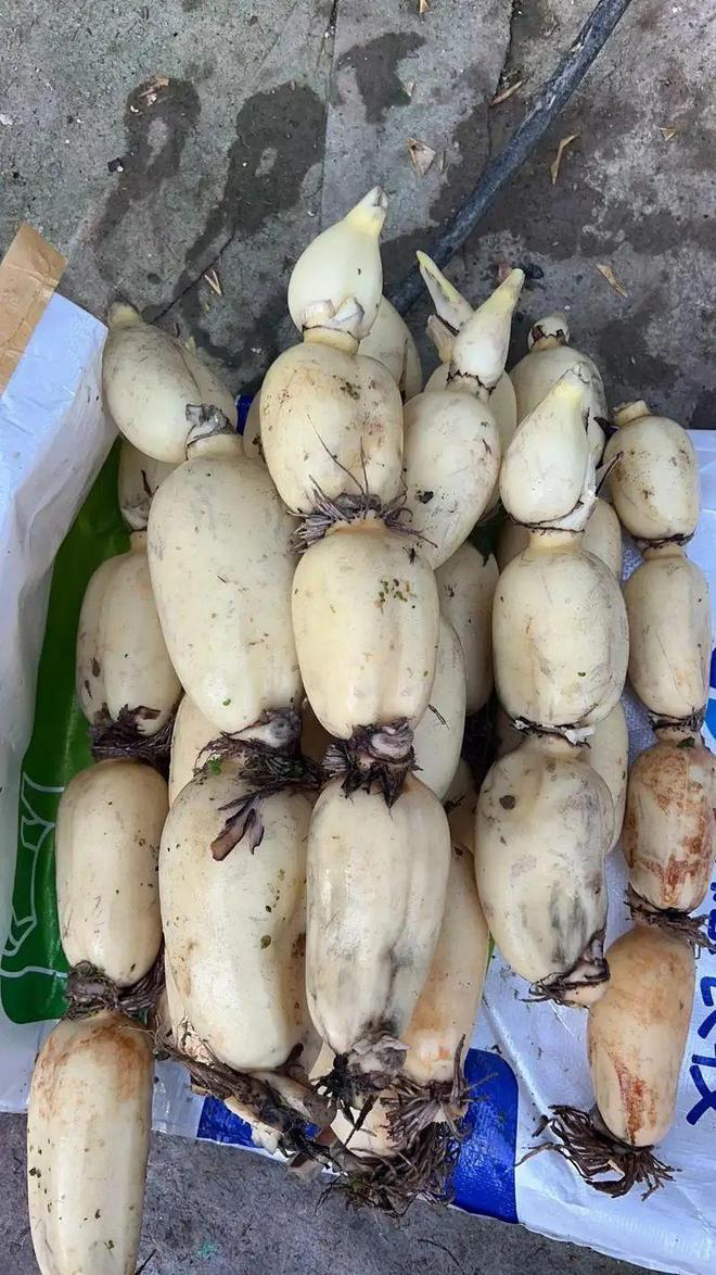 7 loại rau “bẩn” nhất chợ mùa hè: Nhìn thì tươi ngon nhưng dễ rước bệnh vào người, tuyệt đối tránh mua!- Ảnh 4.