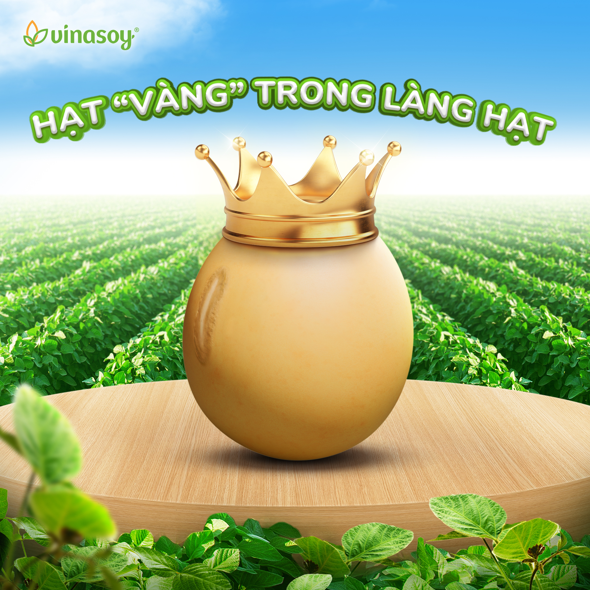 Đậu nành thôi, mà tự hào là lựa chọn bền vững cho tương lai- Ảnh 1.