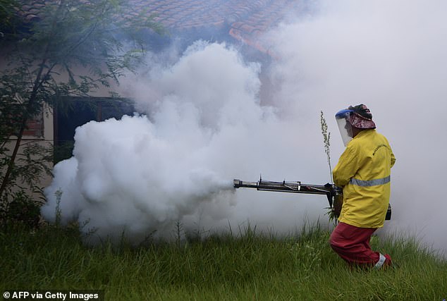 Trung Quốc khôi phục biện pháp thời Covid-19 để chống dịch Chikungunya, Mỹ khuyến cáo du khách "cẩn trọng"- Ảnh 4.