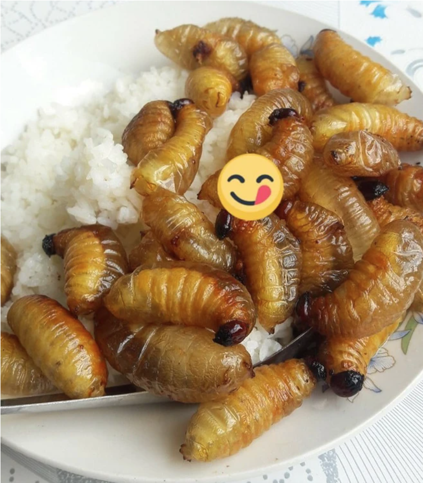 10 món đặc sản nổi tiếng nhưng không phải ai cũng nuốt nổi: 4 món có mặt tại Việt Nam- Ảnh 7.