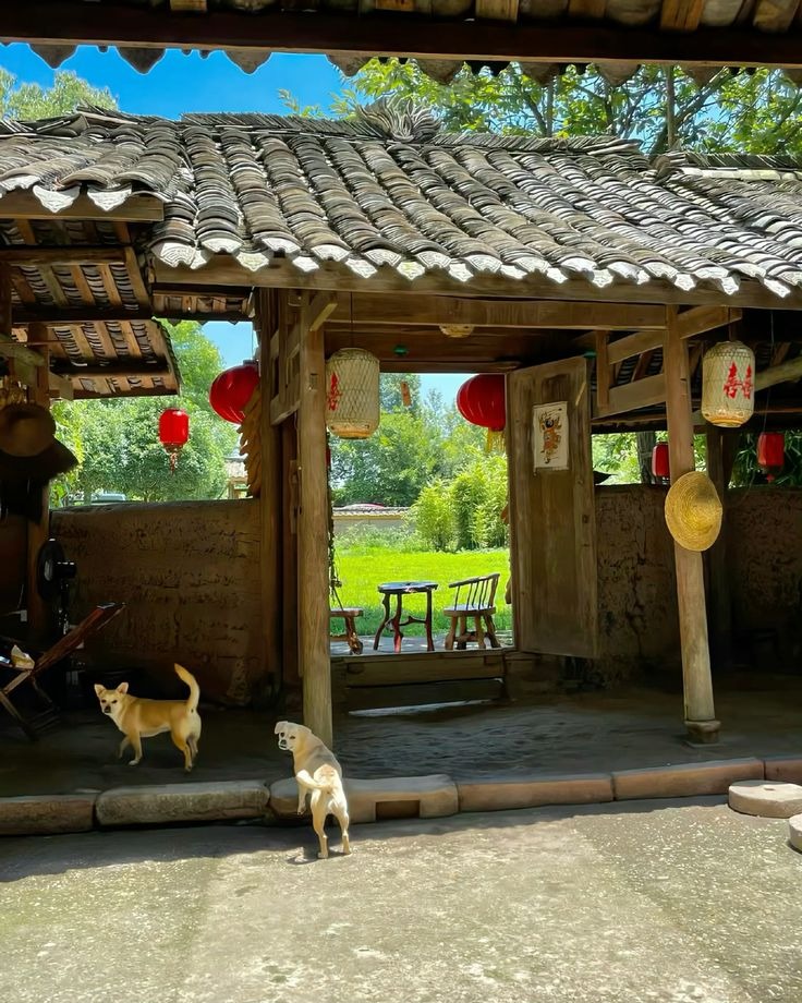Làm sếp 10 năm, lương 50 triệu đồng/tháng: Bị khinh thường vì hỏi vay 1 tỷ mà cũng không có- Ảnh 1.