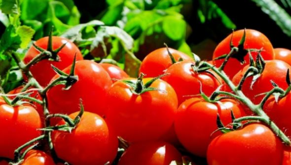 Loại quả được đánh giá "tốt nhất thế giới", ở chợ Việt vừa rẻ vừa nhiều- Ảnh 3.
