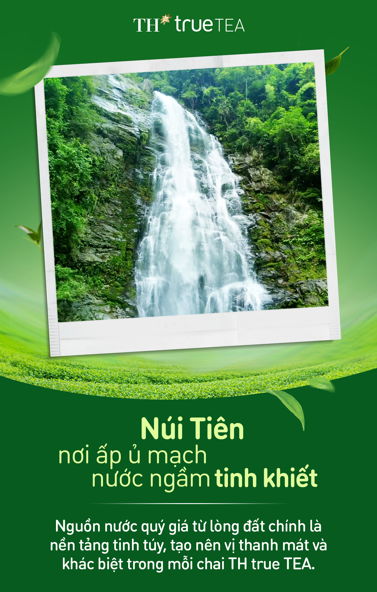 TH true TEA: Giữ trọn hương vị tự nhiên với công nghệ hiện đại từ Đức- Ảnh 3.
