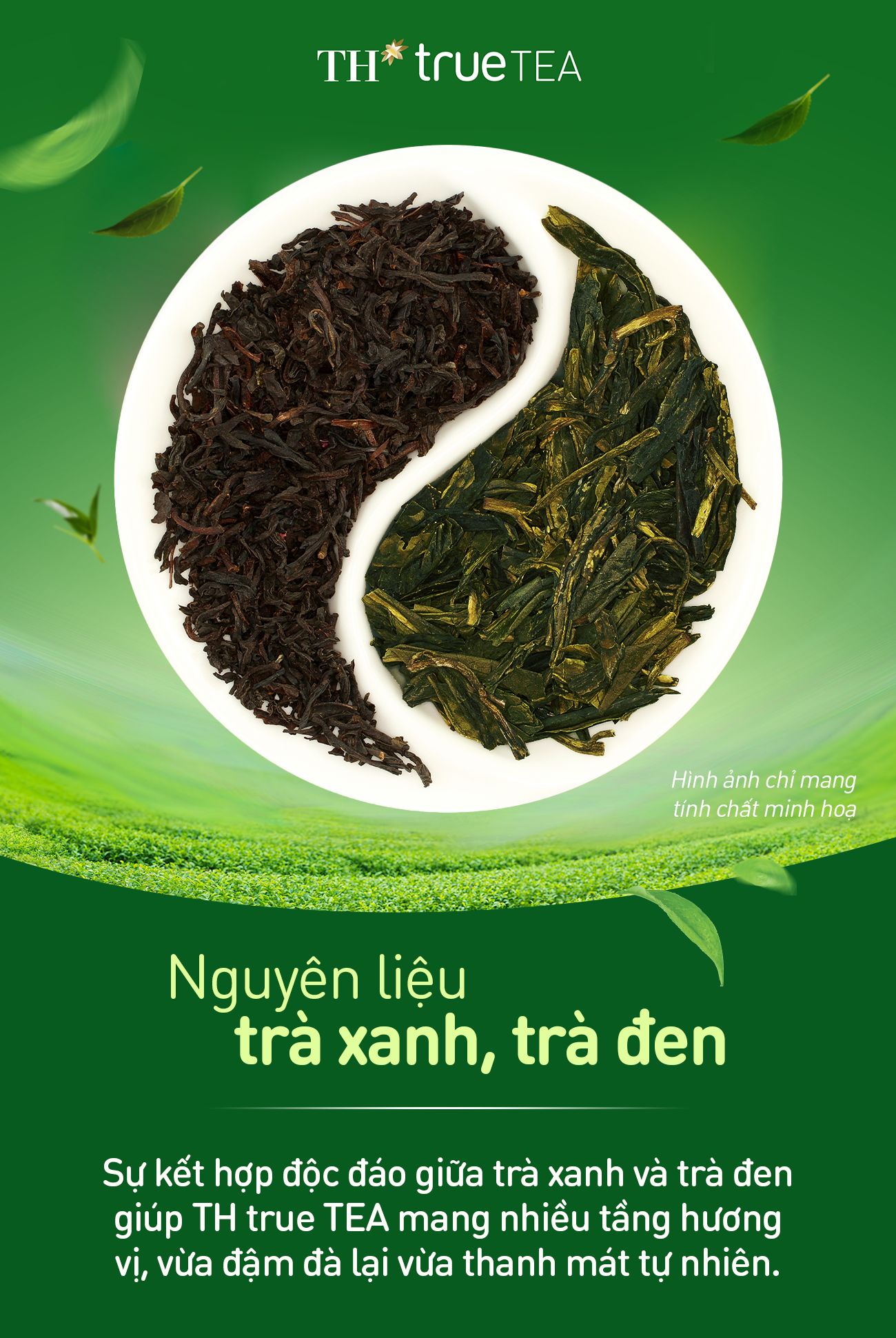 TH true TEA: Giữ trọn hương vị tự nhiên với công nghệ hiện đại từ Đức- Ảnh 4.