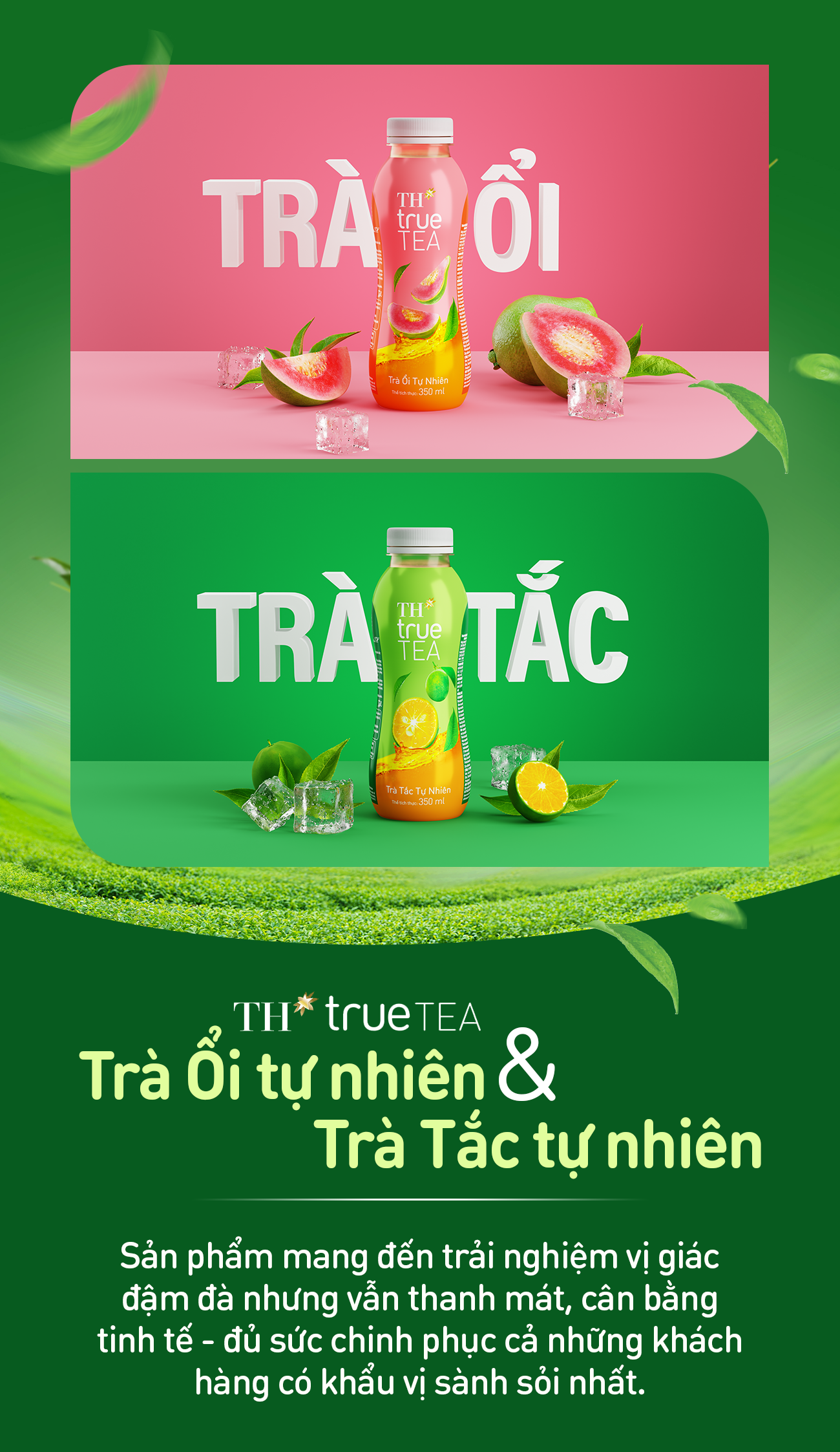 TH true TEA: Giữ trọn hương vị tự nhiên với công nghệ hiện đại từ Đức- Ảnh 5.