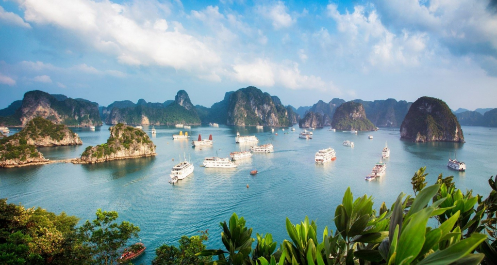 Tàu du lịch trên vịnh Hạ Long sẽ được lắp đặt thiết bị thông tin liên lạc AIS- Ảnh 1.
