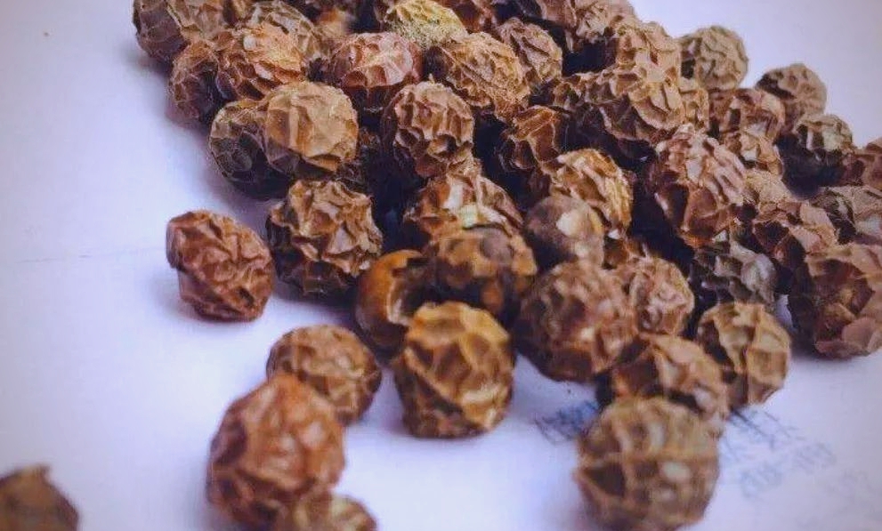 Cây dại có tên lạ xưa không ai ngó nay giá đắt đỏ, hái bán đếm tiền không kịp- Ảnh 3.
